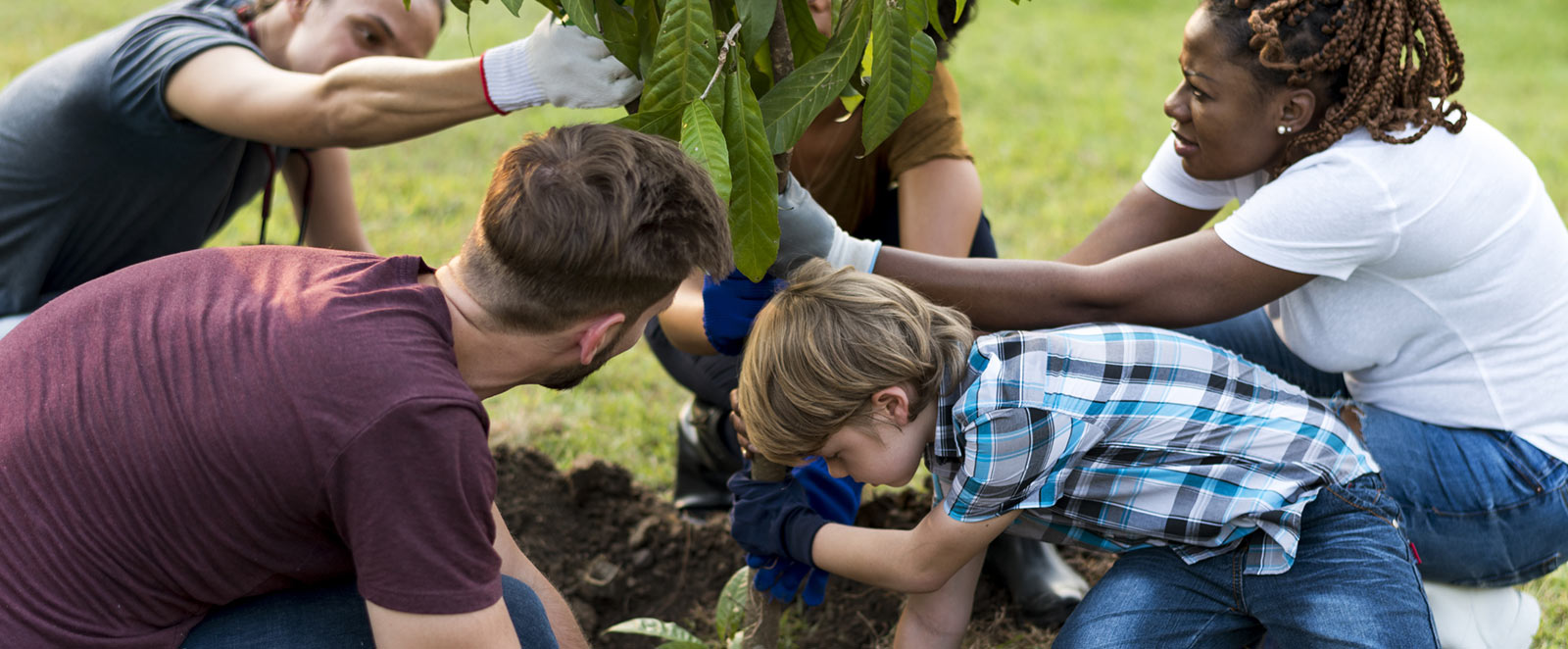 Group of people planting a tree